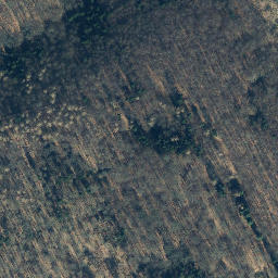 Satellite imagery of Moosberg, DE