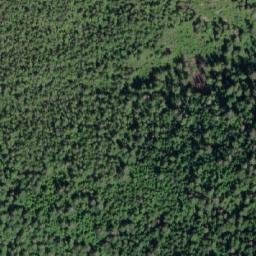 Satellite imagery of McAllister Point, CA