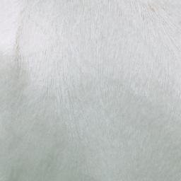 Satellite imagery of Mount Rhondda, CA