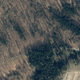 Satellite imagery of Wiensener Buchenberg, DE