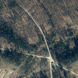 Satellite imagery of Wiensener Buchenberg, DE
