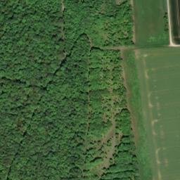 Satellite imagery of Papenberg, DE