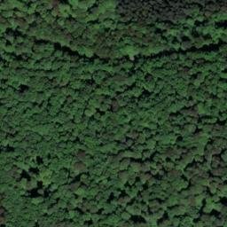 Satellite imagery of Buchenberg, DE