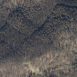 Satellite imagery of Brandkopf, DE
