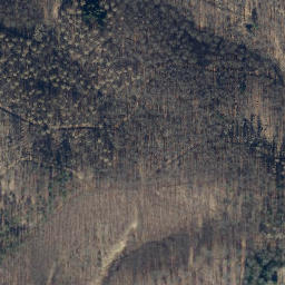 Satellite imagery of Brandkopf, DE
