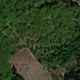 Satellite imagery of Leckenkopf, DE