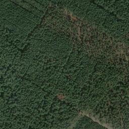 Satellite imagery of Jankenberg, DE