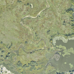 Satelita