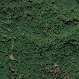 Satellite imagery of Langforstberg, DE