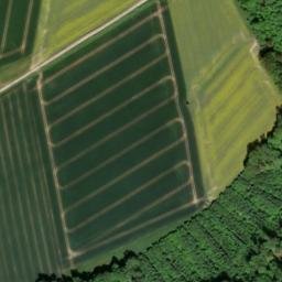 Satellite imagery of Schorberg, DE