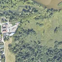 Satelita