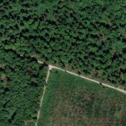Satellite imagery of Langforstberg, DE