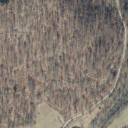 Satellite imagery of Mittelberg, DE