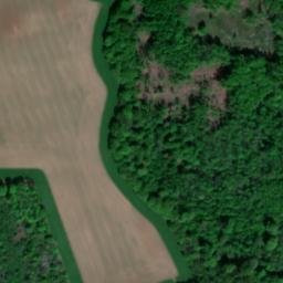 Satellite imagery of Kunkelhöhe, DE