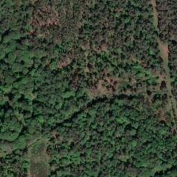 Satellite imagery of Mutterloser Berg, DE