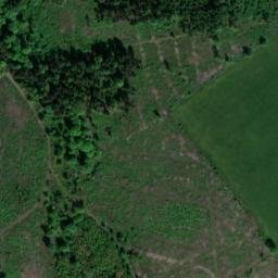 Satellite imagery of Hirschbuchenkopf, DE