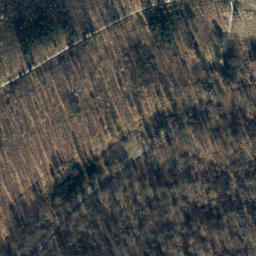Satellite imagery of Dingberg, DE