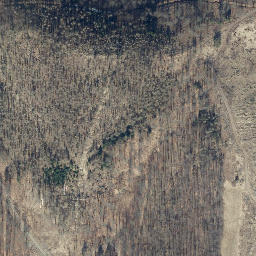 Satellite imagery of Quitschenkopf, DE