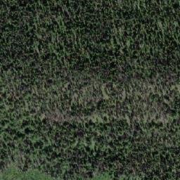 Satellite imagery of Mount McClennan, CA