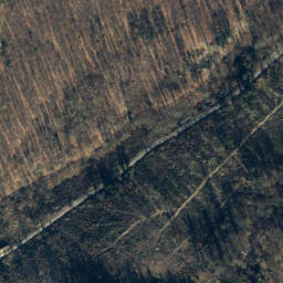 Satellite imagery of Dingberg, DE