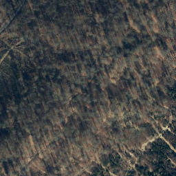 Satellite imagery of Dingberg, DE