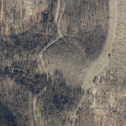 Satellite imagery of Quitschenkopf, DE