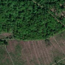 Satellite imagery of Hirschbuchenkopf, DE