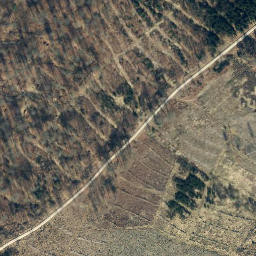 Satellite imagery of Dingberg, DE