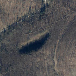Satellite imagery of Frauenstein, DE