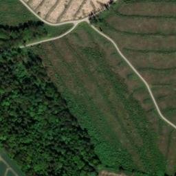 Satellite imagery of Knippelberg, DE