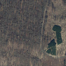 Satellite imagery of Rotenberg, DE