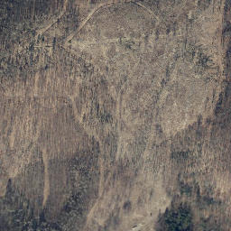 Satellite imagery of Nesselkopf, DE