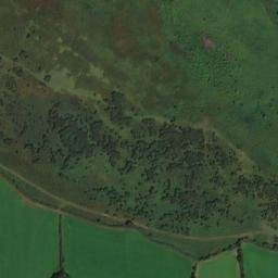 Satellite imagery of Ryer's Down, GB