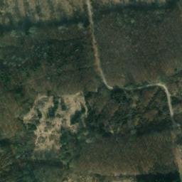 Satellite imagery of Dissenberg, DE