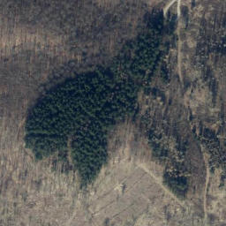 Satellite imagery of Ahrendsberg, DE