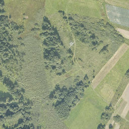 Satelita