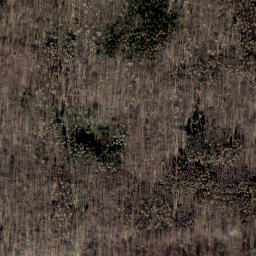 Satellite imagery of Hoddenberg, DE