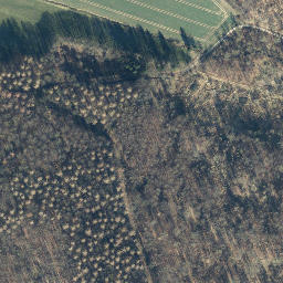 Satellite imagery of Junkernberg, DE