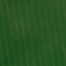 Satellite imagery of Sterlitzenberg, DE