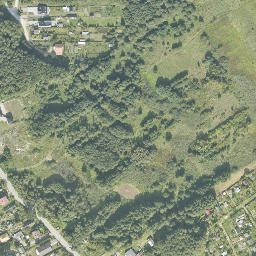 Satelita