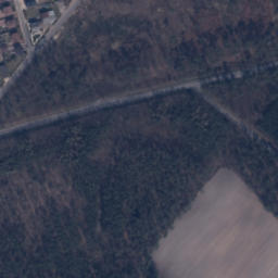 Satelita