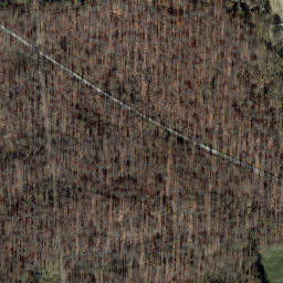 Satellite imagery of Hoddenberg, DE
