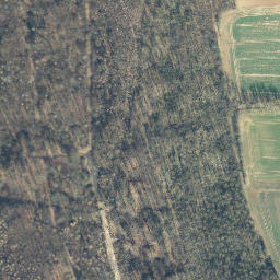 Satellite imagery of Rauscher Berg, DE