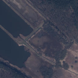 Satelita