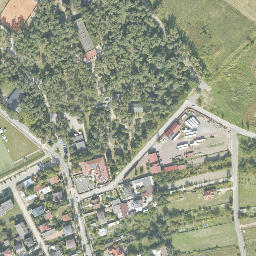 Satelita