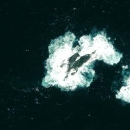 Satellite imagery of Gull Rock, IE