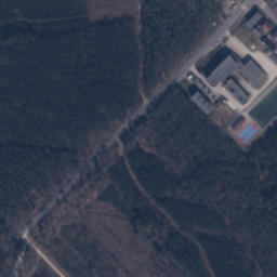 Satelita