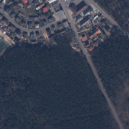 Satelita