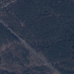Satelita