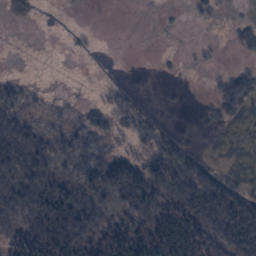 Satelita